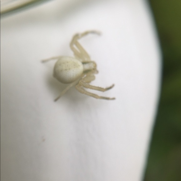 🖖🏼 - Picture 9 of 10